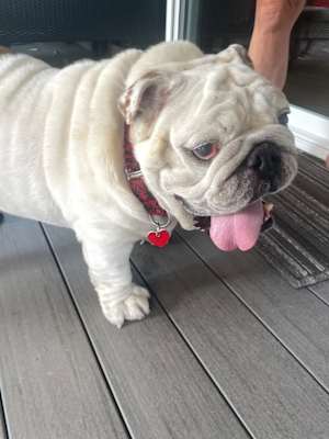 Hercules - Photo 3
