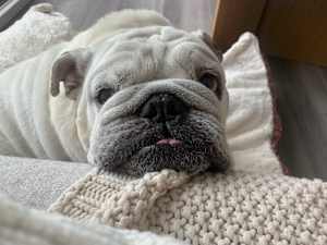 Hercules - Photo 4