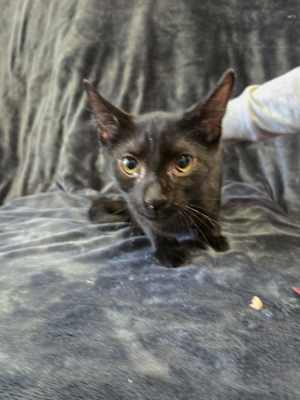 Steve - Photo 2