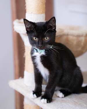 Casen - Photo 4