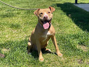 Oatie - Photo 1