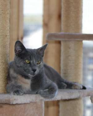 Starla - Photo 2