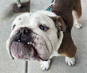 Barney - Photo 1