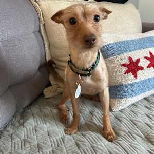 Jude - Photo 3