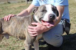 Chubbs - Photo 3