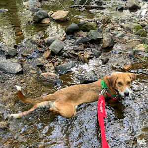 Zena - Photo 2