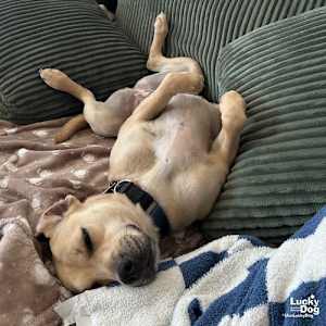 Brandice - Photo 4