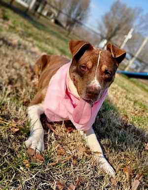 Mitzi - Photo 3