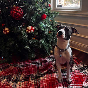 Lola - Photo 2