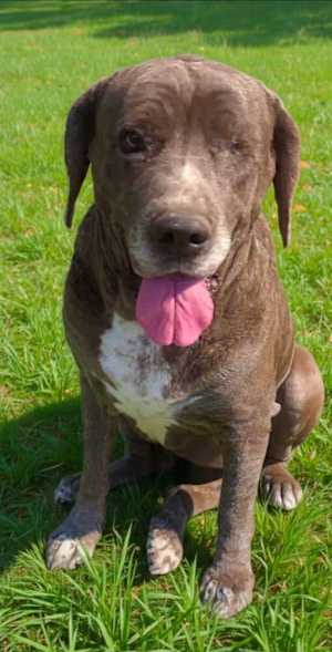 Octavia - Photo 3