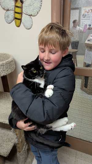 Mittens - Photo 1