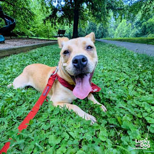 Maggie - Photo 4