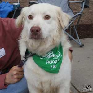 Oliver - Photo 3