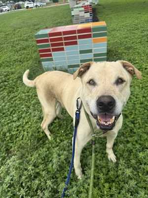 Charlie - Photo 1