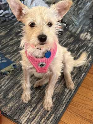 Olivia - Photo 2