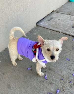 Olivia - Photo 3
