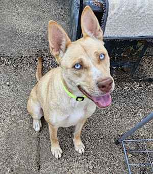 Stella~adopted! - Photo 2