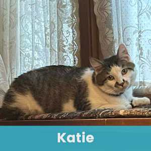 Katie - Photo 1