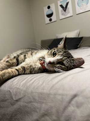 Josie - Photo 4