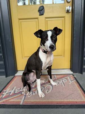 MILLIE - Photo 1