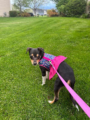 Bingo - Photo 3
