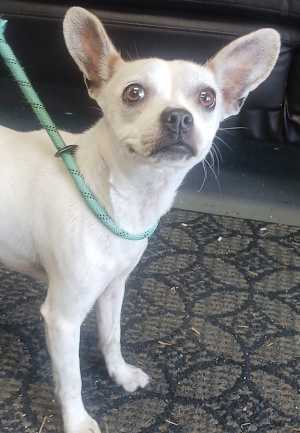 Clarice - Photo 1