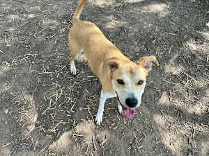 Kilo - Photo 3