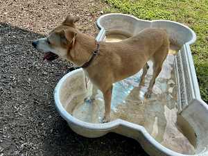 Kilo - Photo 4