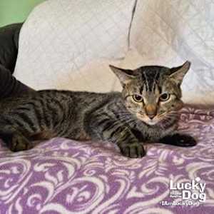 Tonita - Photo 4