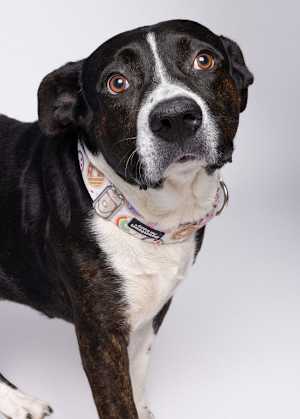 Bruce - Photo 2