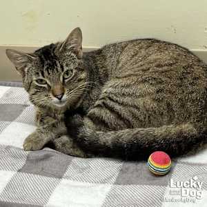 Twix - Photo 3