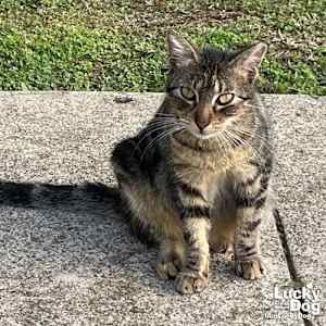 Rilee - Photo 4