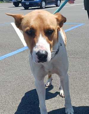 Zeke - Photo 1