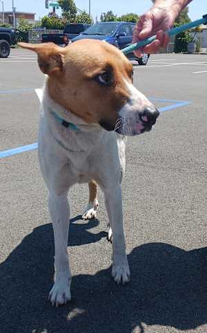 Zeke - Photo 2