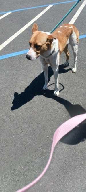 Zeke - Photo 3