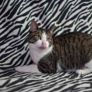 Phoebe (Millie Day) - Photo 1