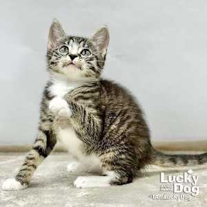 Livia - Photo 2