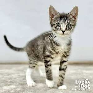 Livia - Photo 3