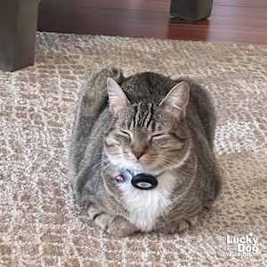 Lucille - Photo 3