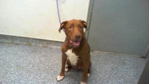 BODHI - Photo 1