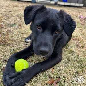 Tator - Photo 4