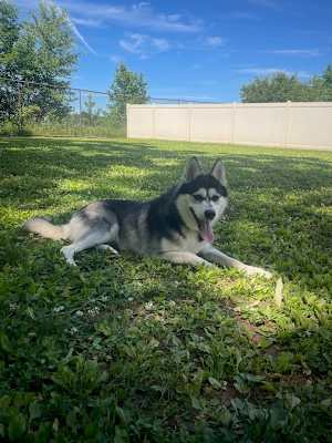 Booger (in Foster) - Photo 2