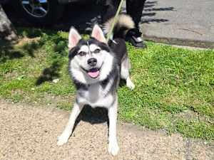 Booger (in Foster) - Photo 4