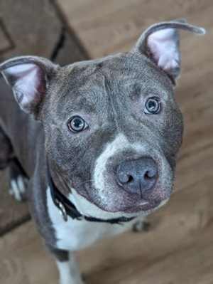 Cheech - Photo 1