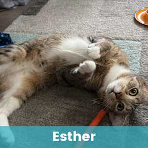 Esther - Photo 1