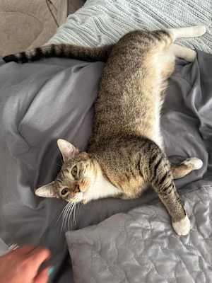 Esther - Photo 3