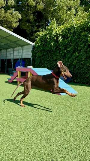 Sasha - Photo 4