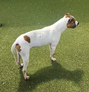 Oakley - Photo 3