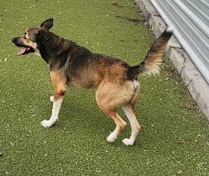 Zayda - Photo 3
