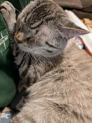 Othniel - Photo 4